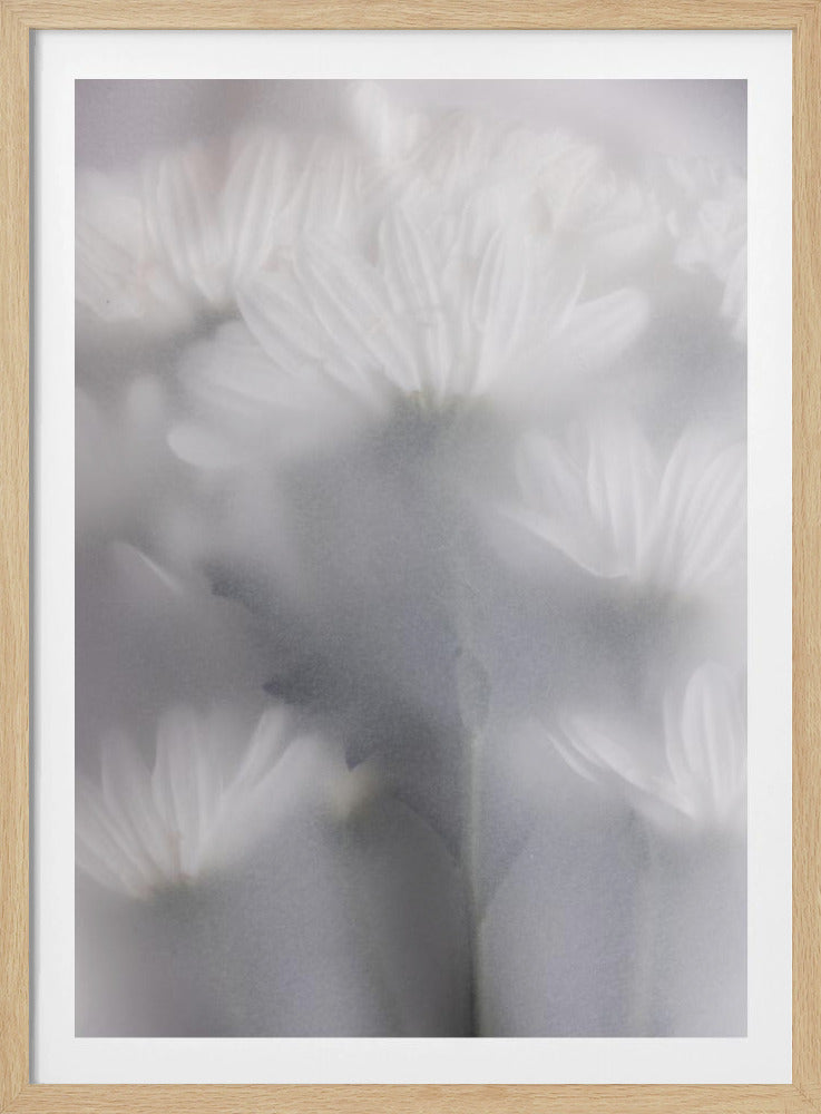 Vage bloemen 6 | Poster
