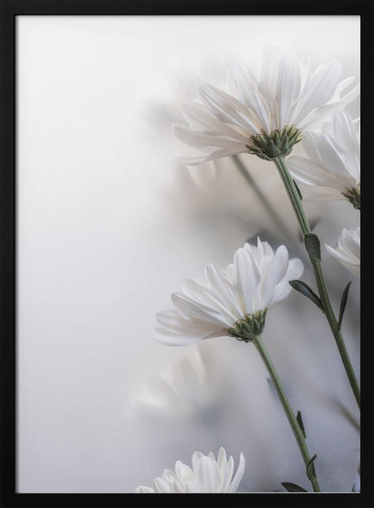 Vage bloemen 8 | Poster
