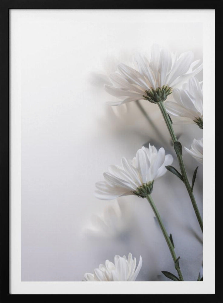 Vage bloemen 8 | Poster