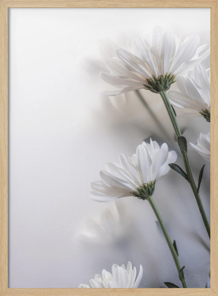 Vage bloemen 8 | Poster