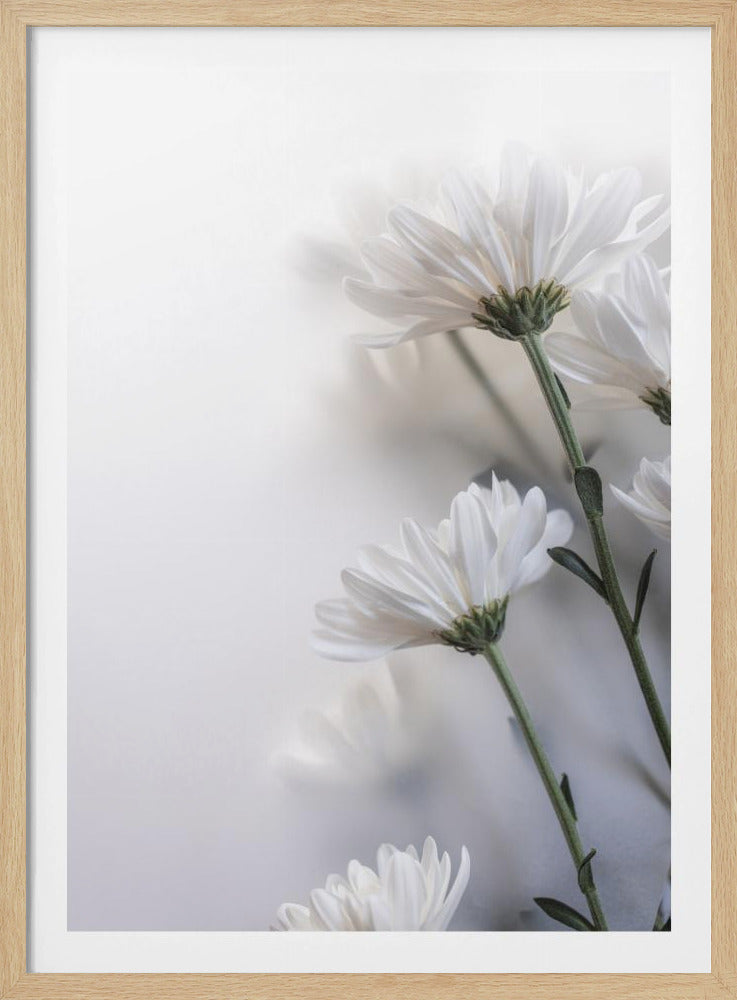 Vage bloemen 8 | Poster