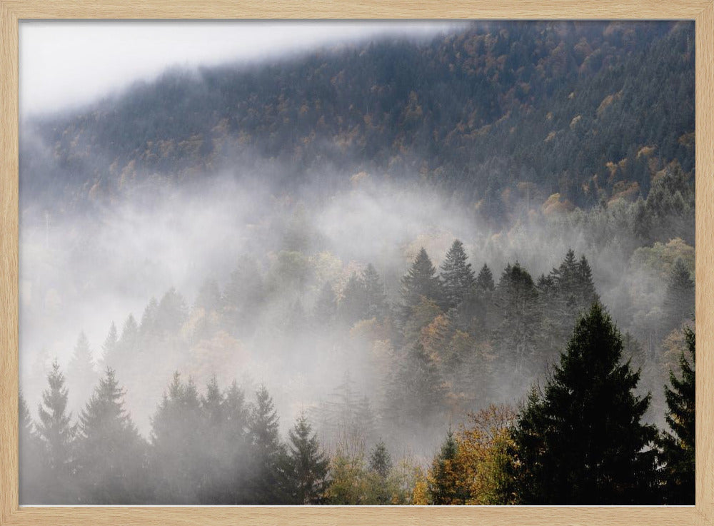 Mistige bossen 9 | Poster