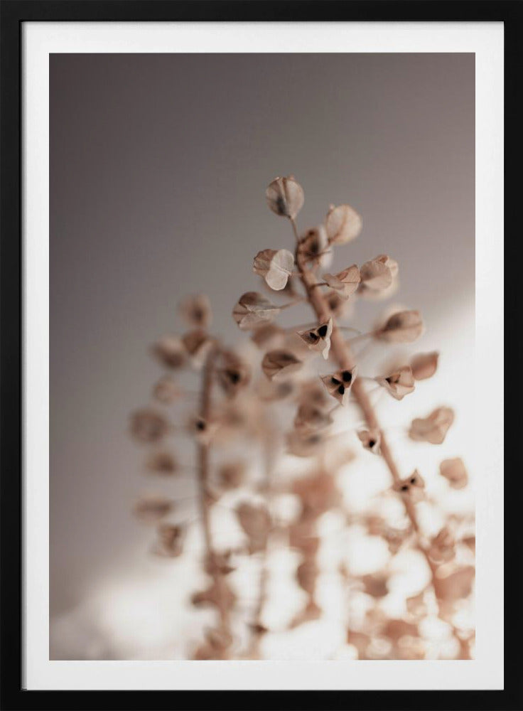 Afgelopen zomer 32 | Poster