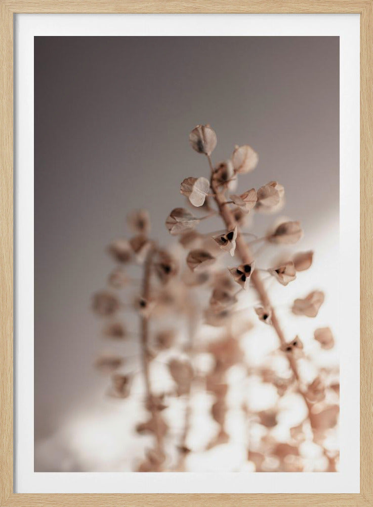 Afgelopen zomer 32 | Poster