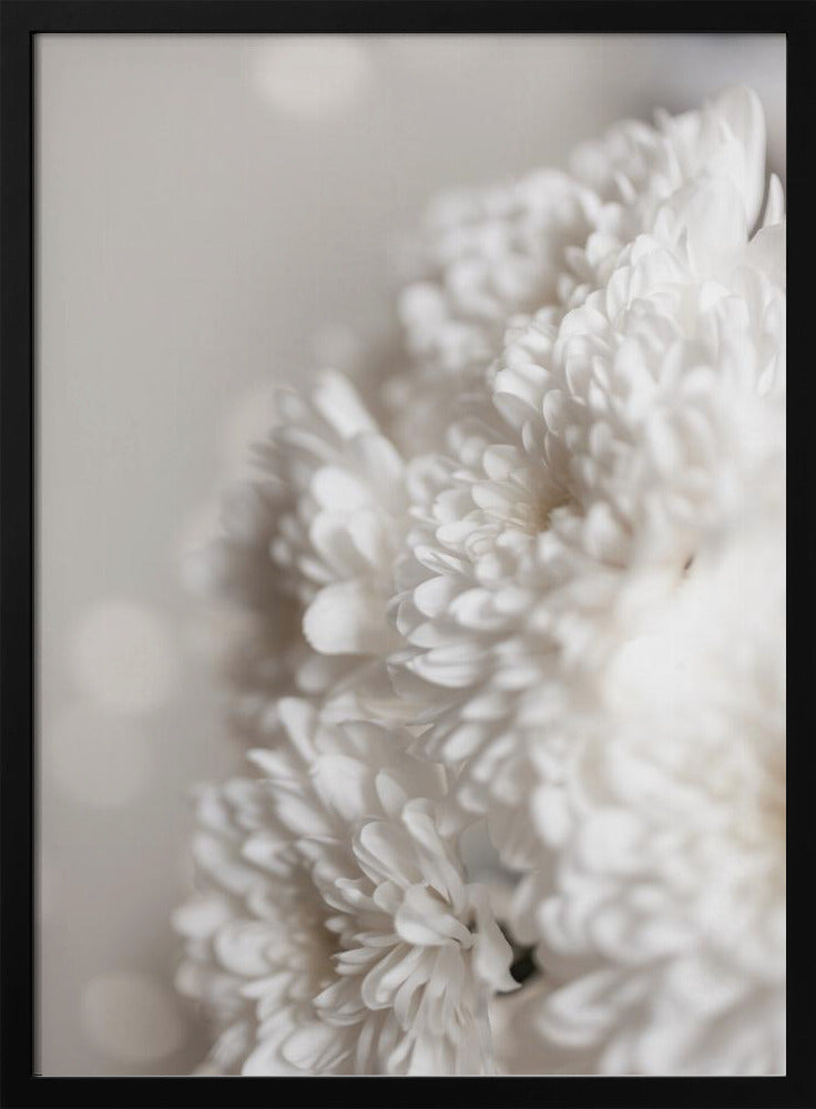 Witte bloemen | Poster