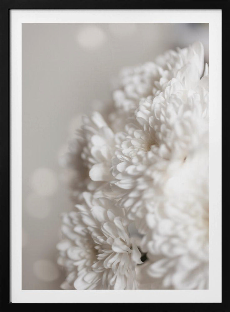 Witte bloemen | Poster