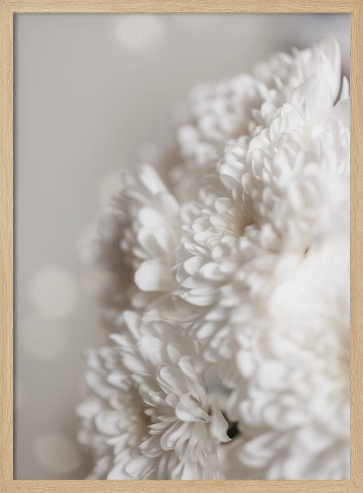 Witte bloemen | Poster