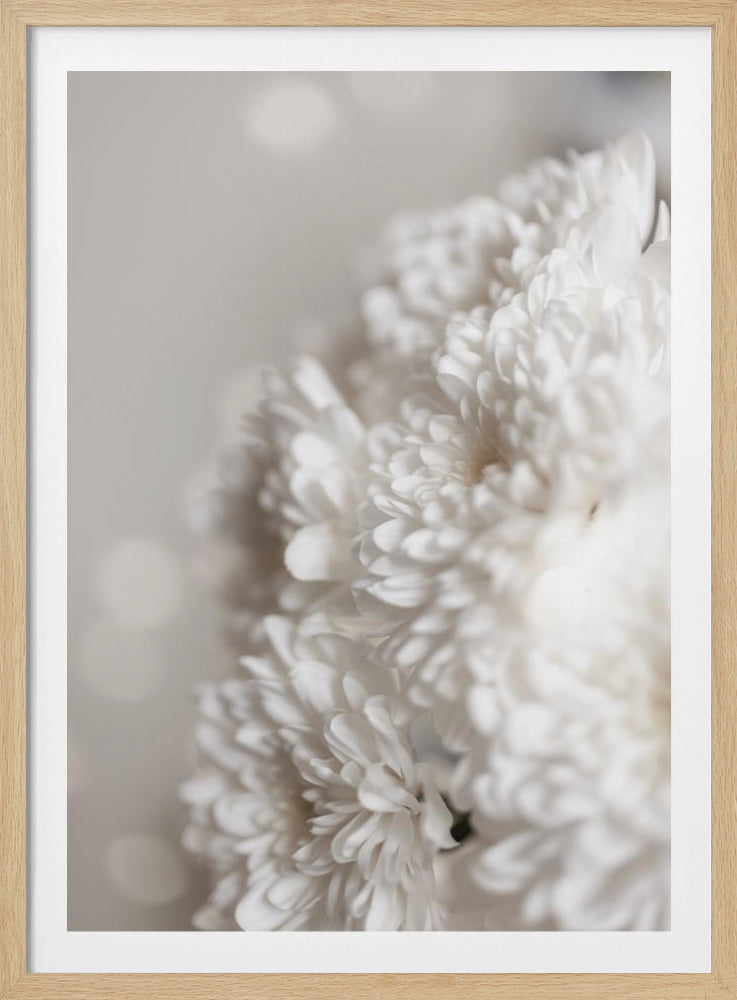 Witte bloemen | Poster