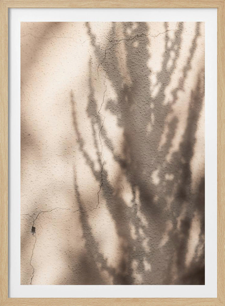 Zomerschaduwen 7 | Poster