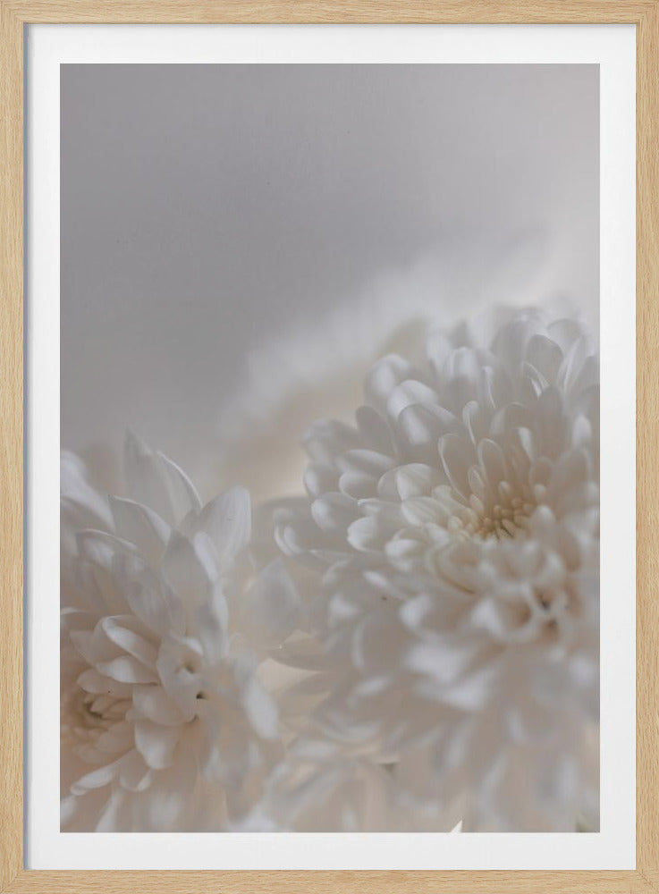 Witte Bloemen 3 | Poster