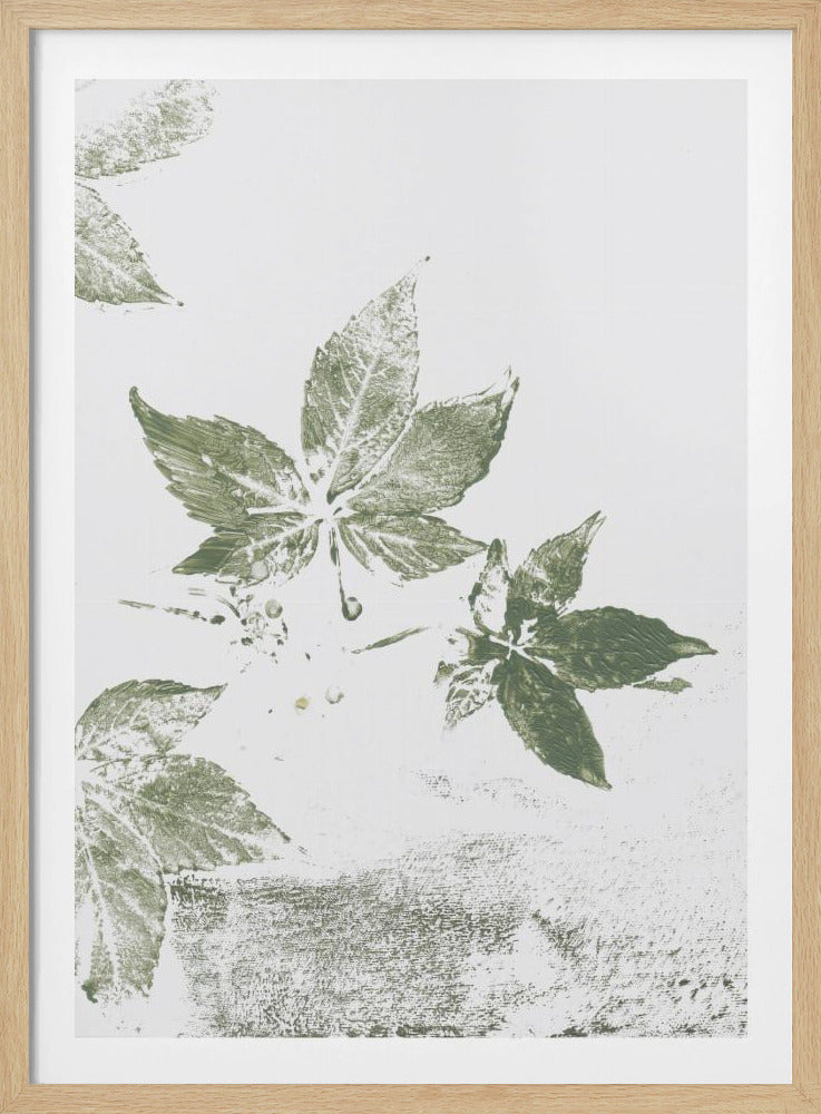 Bladerenii | Poster