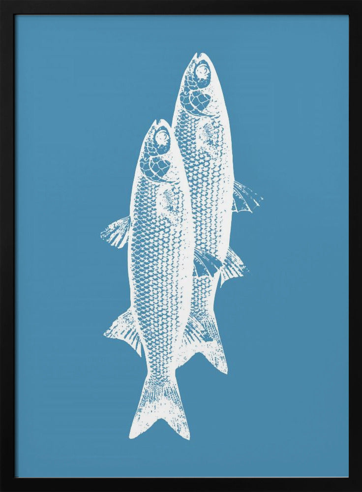 Vissen | Poster