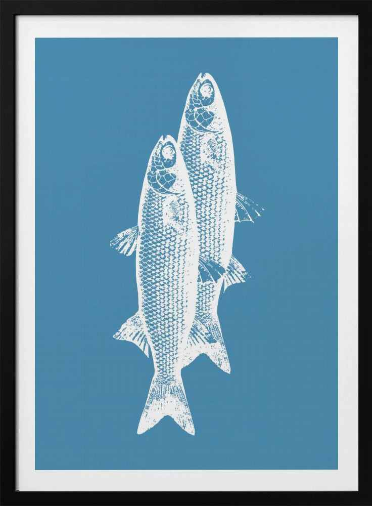 Vissen | Poster