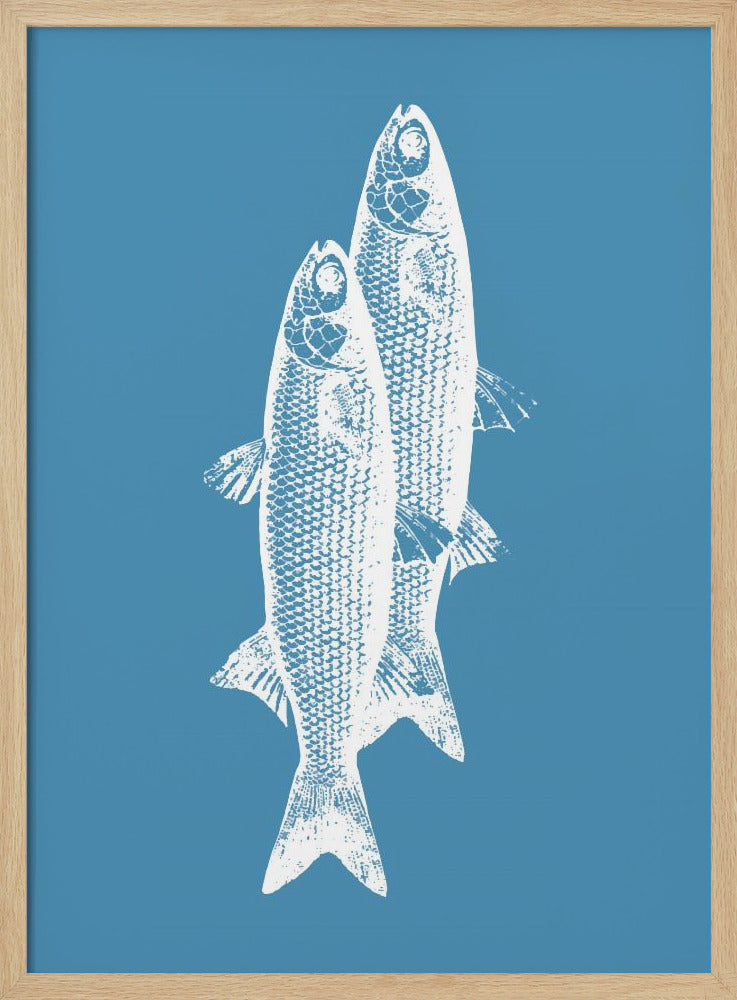 Vissen | Poster