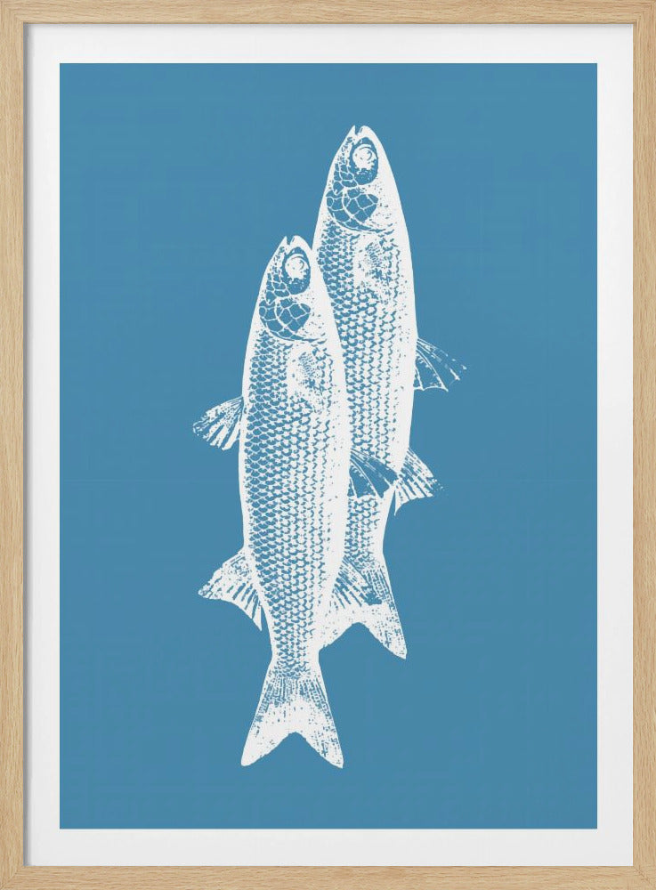 Vissen | Poster