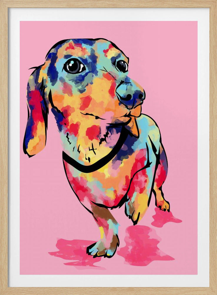 Regenboogpup, schattige en kleurrijke hond | Poster