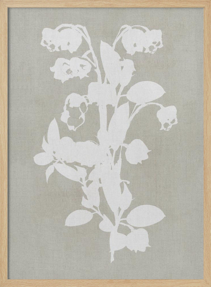 Botanische Illustratie 4 | Poster