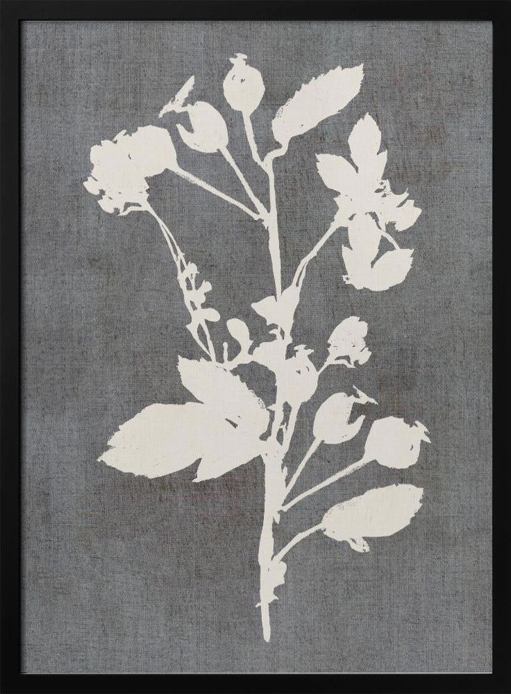 Botanische Illustratie 6 | Poster