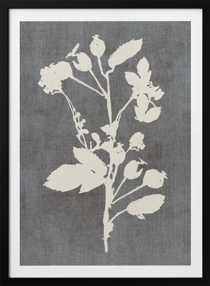 Botanische Illustratie 6 | Poster