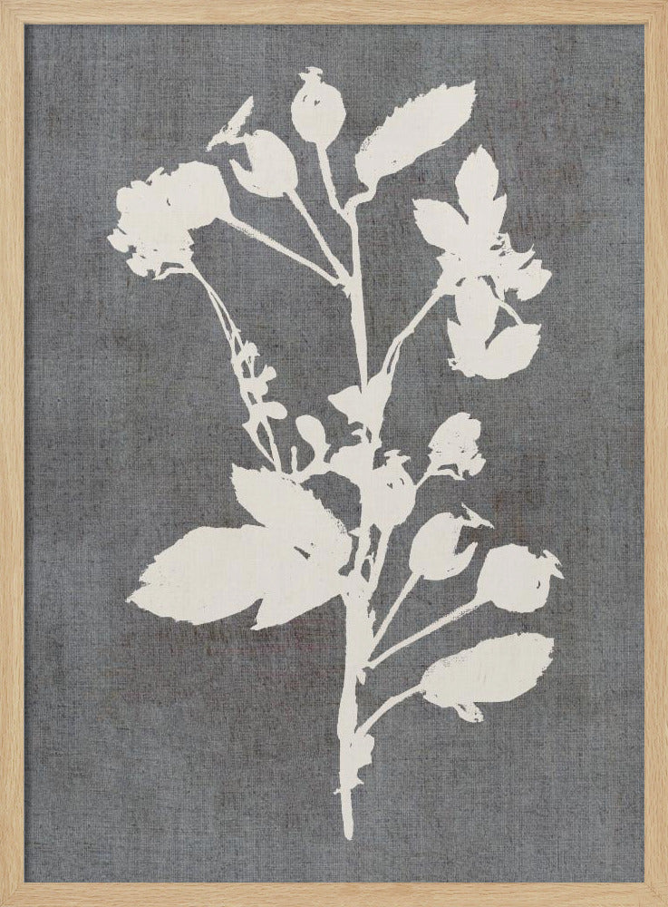 Botanische Illustratie 6 | Poster