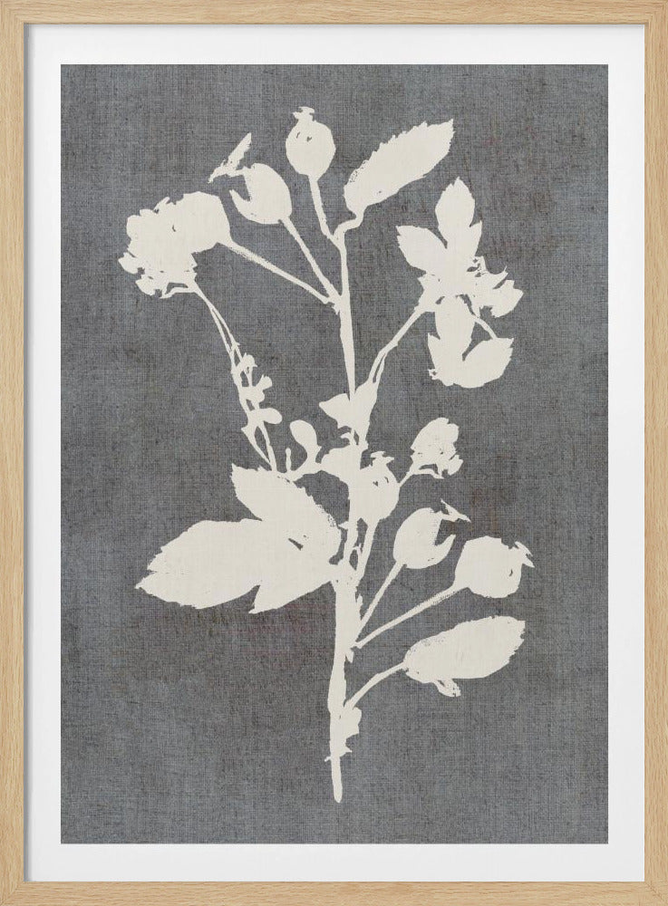 Botanische Illustratie 6 | Poster