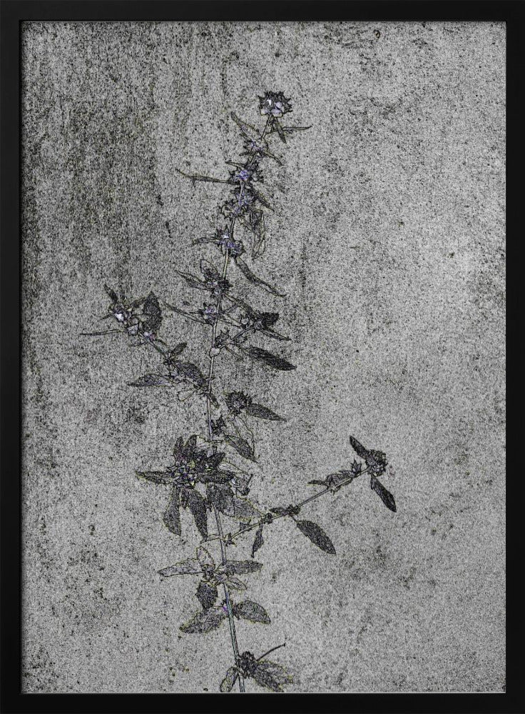 Betonnen bloesems | Poster