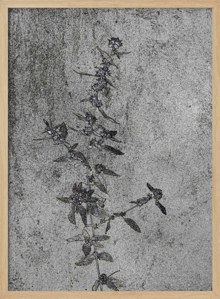 Betonnen bloesems | Poster