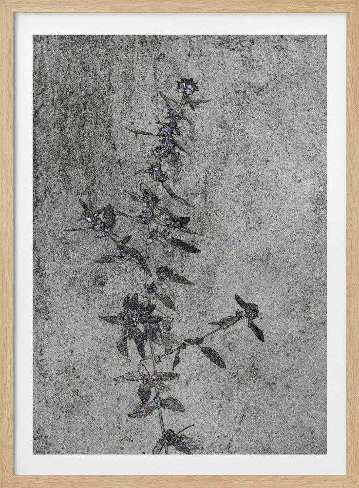 Betonnen bloesems | Poster