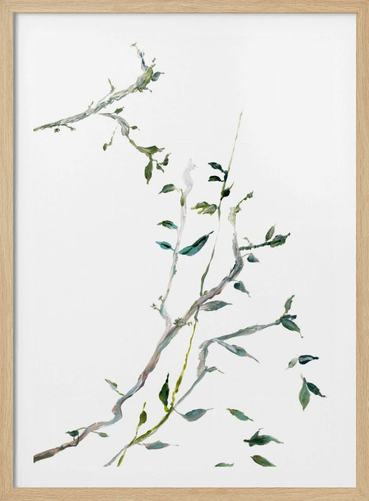 Botanische takken nr. 2 | Poster