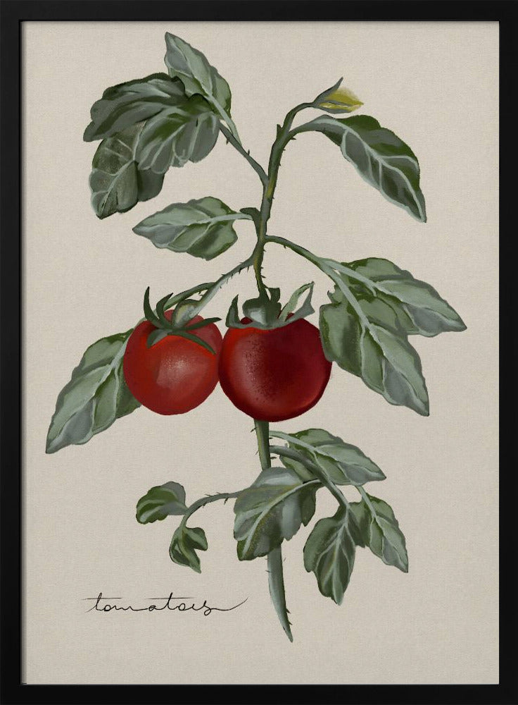Vintage Tuin | Poster