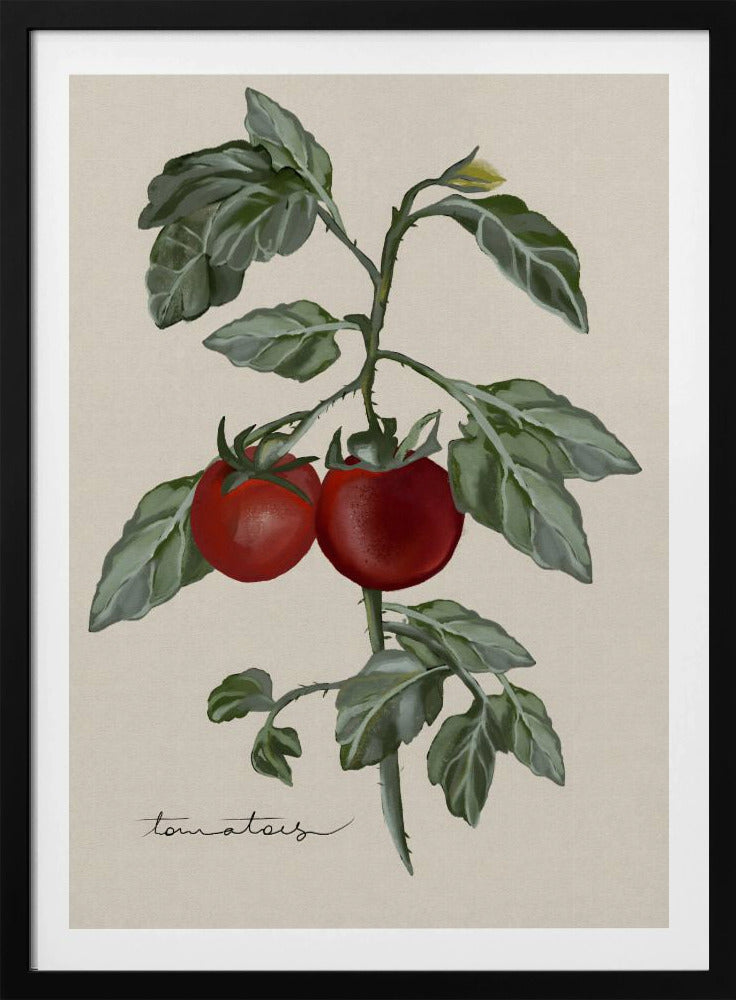 Vintage Tuin | Poster