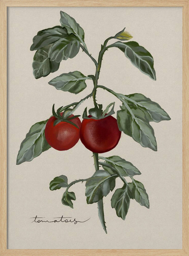 Vintage Tuin | Poster