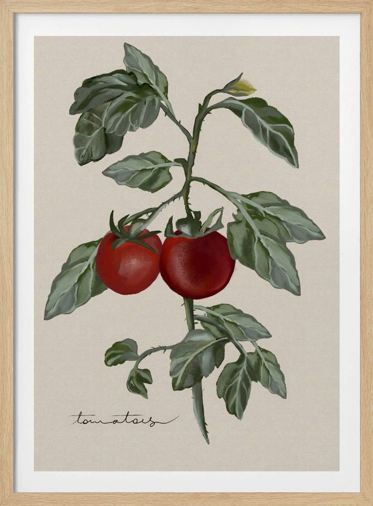 Vintage Tuin | Poster