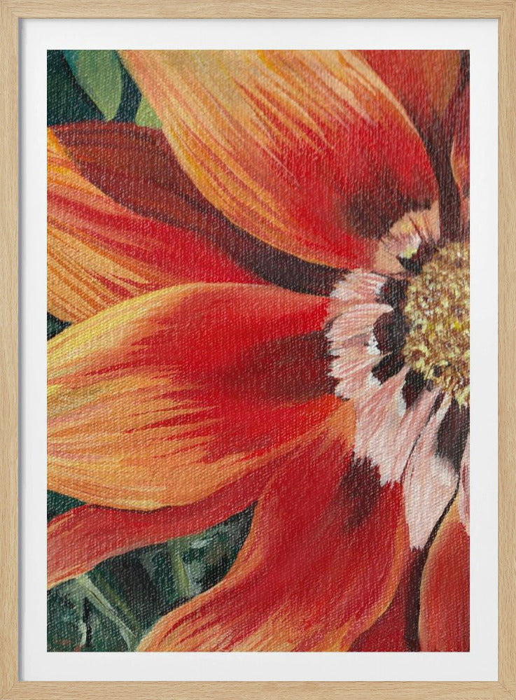 Gazania 1 By Viccy Wanliss | Poster
