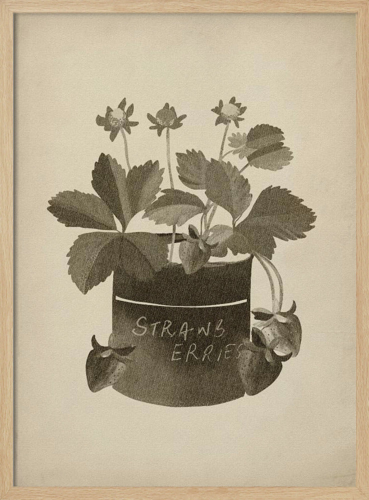 Vintage aardbeienplant | Poster