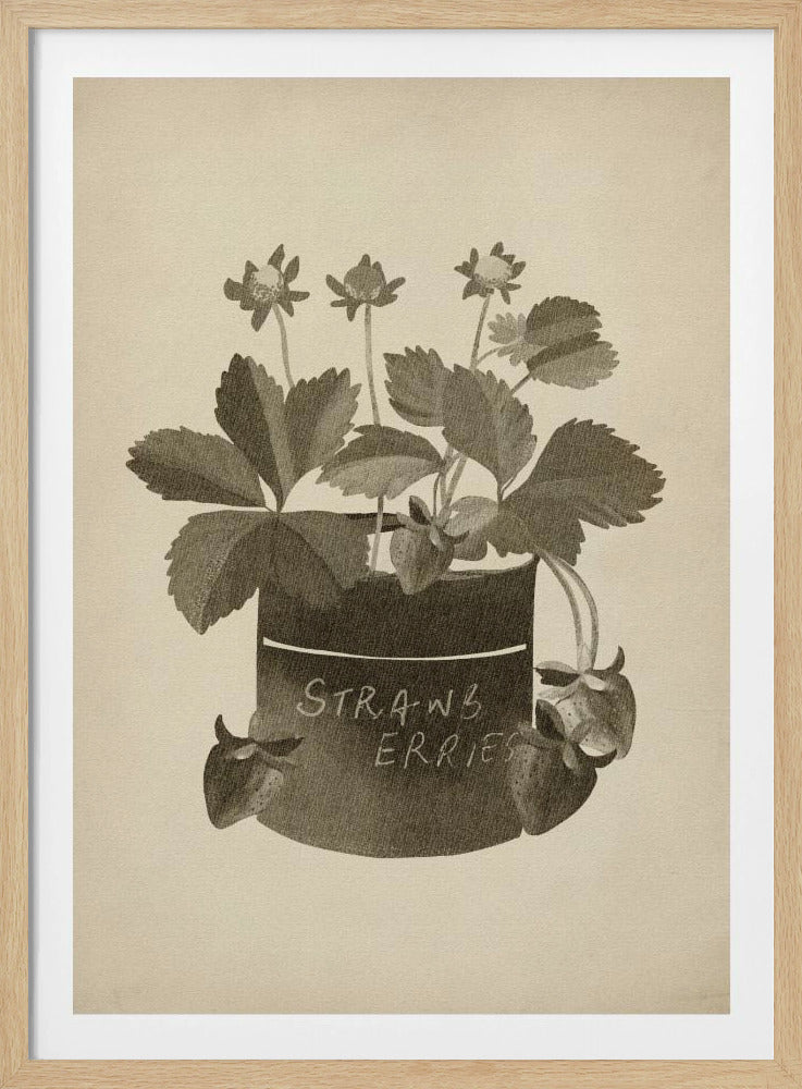 Vintage aardbeienplant | Poster