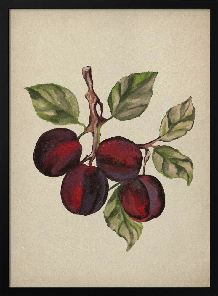 Vintage fruitcollectie | Poster