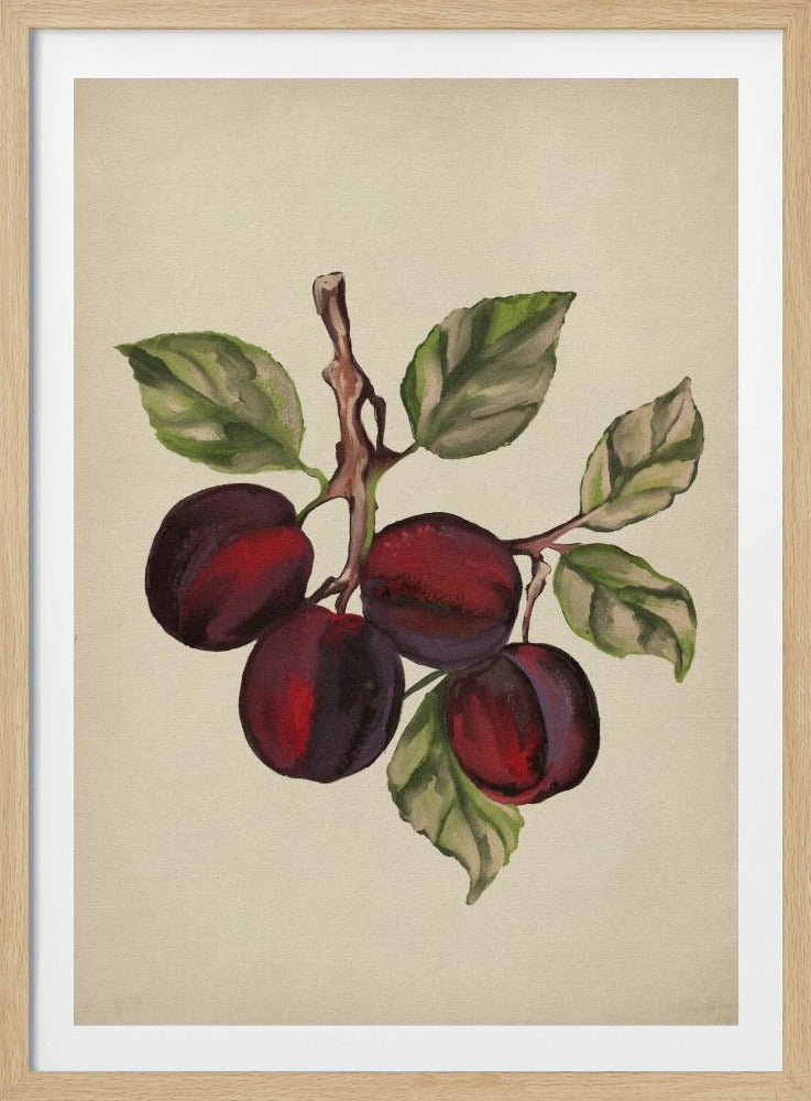 Vintage fruitcollectie | Poster