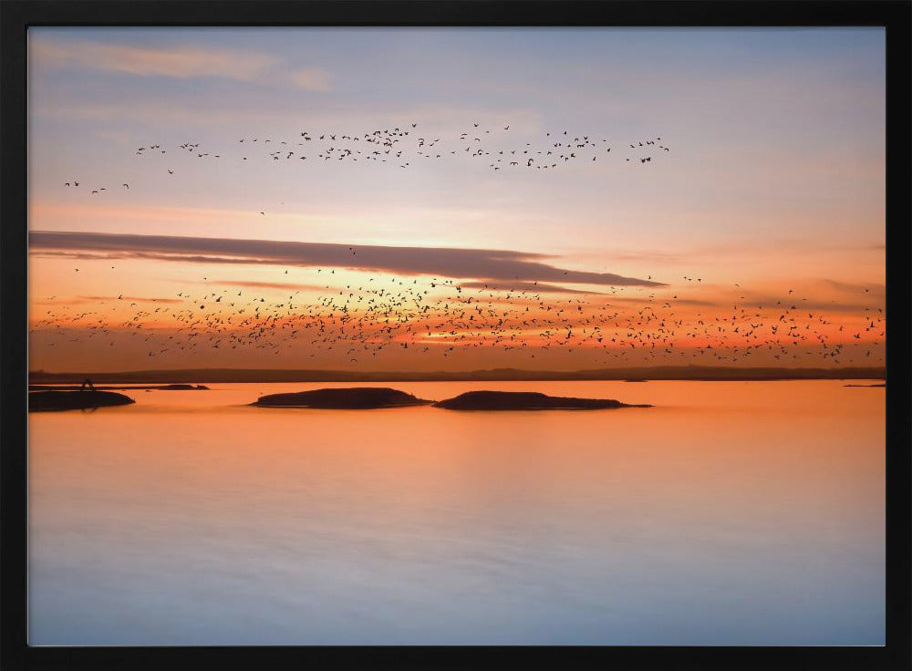 bij zonsondergang | Poster
