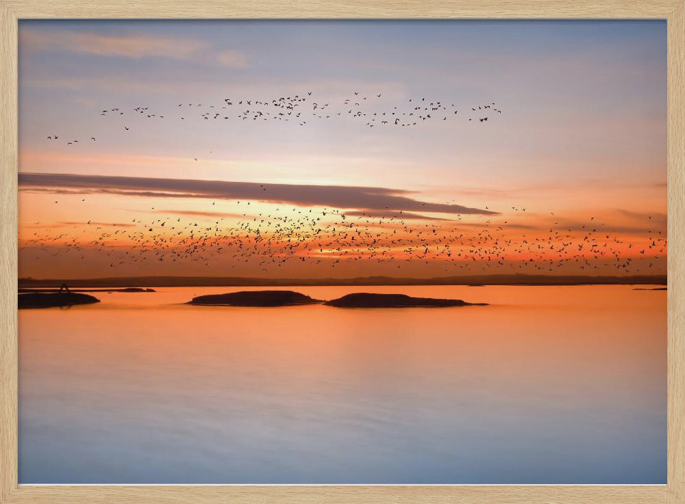 bij zonsondergang | Poster