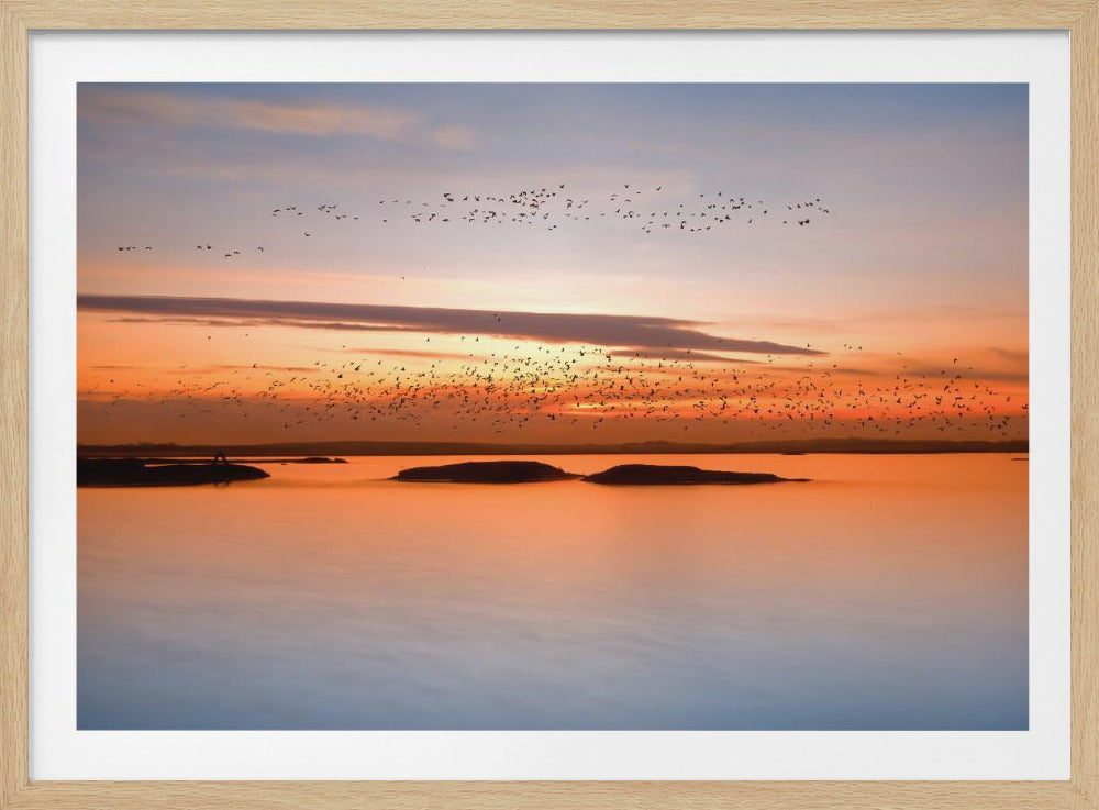 bij zonsondergang | Poster