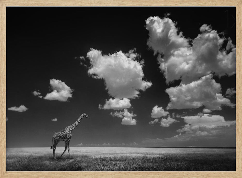 Weg met de wolken | Poster