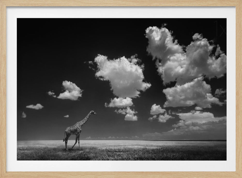 Weg met de wolken | Poster