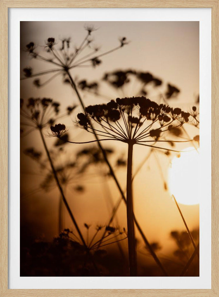 Gouden Uur 1 | Poster