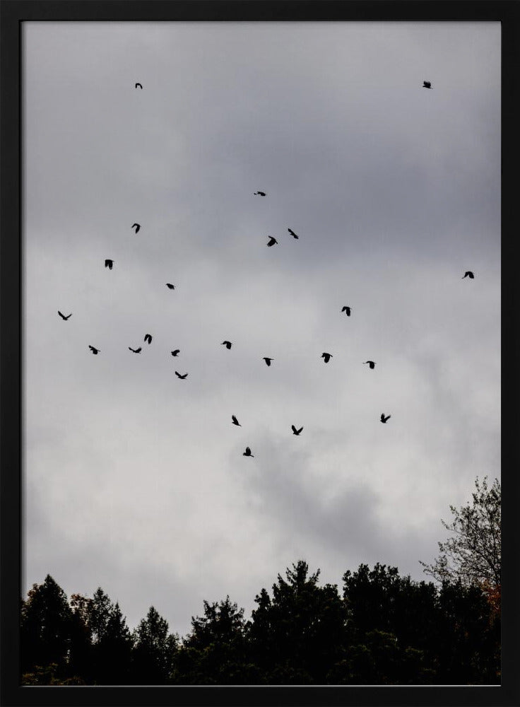 Vogels en Wolken 1 | Poster
