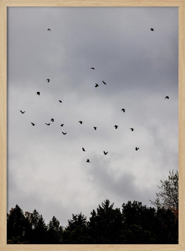 Vogels en Wolken 1 | Poster