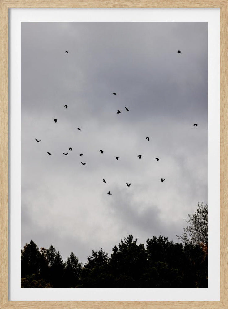 Vogels en Wolken 1 | Poster