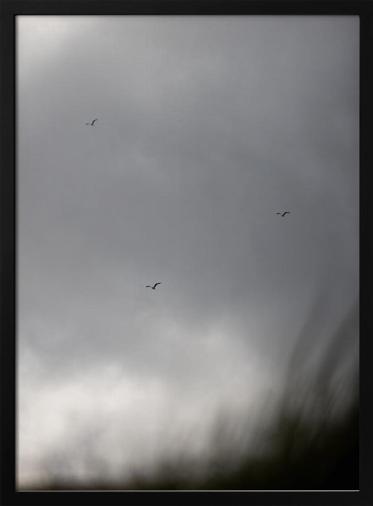 Vogels en Wolken 2 | Poster