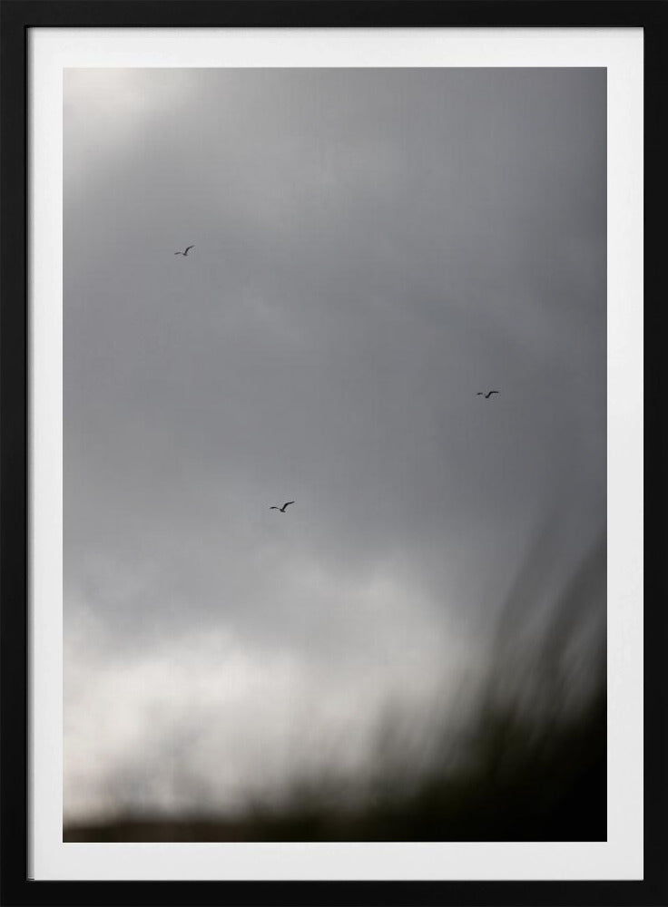 Vogels en Wolken 2 | Poster