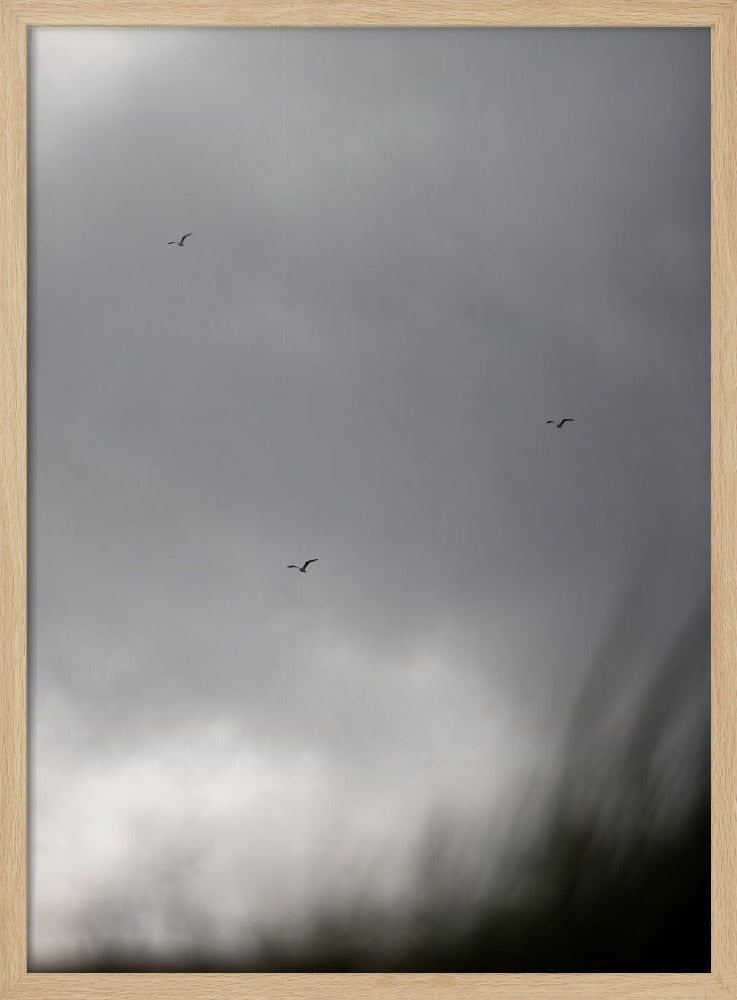 Vogels en Wolken 2 | Poster